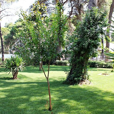 קסטלנטה מרינה Il Melograno B&B מראה חיצוני תמונה